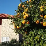 Karoma